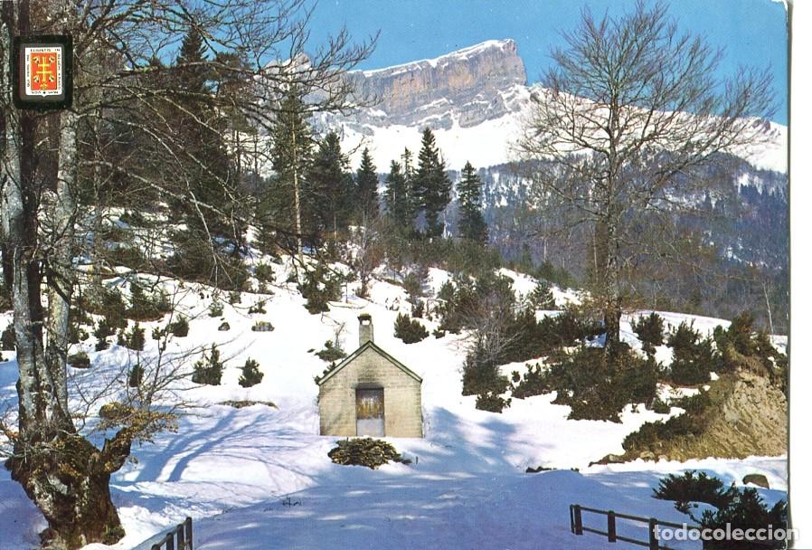 Postales: Postal 016763: HUESCA Pirineo Aragones - Hecho Selva de Oza - Varios