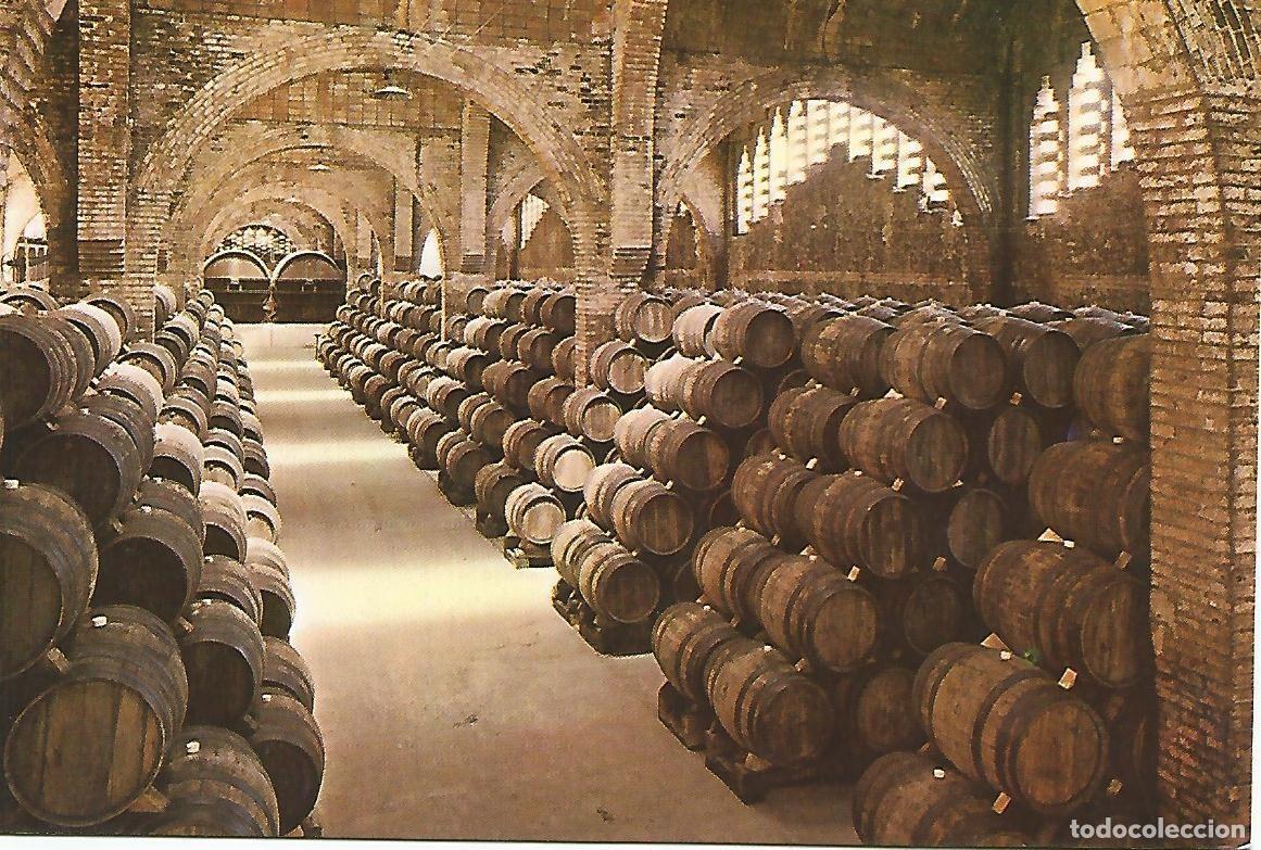 Postales: Postal 50131: CAVAS CODORNIU - Una bodega - Foto 1