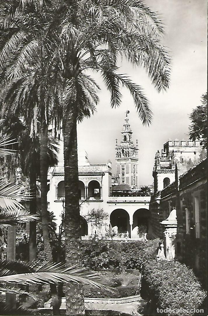 Postcards: Postal 50705: SEVILLA - Jardines del Alcazar - Varios