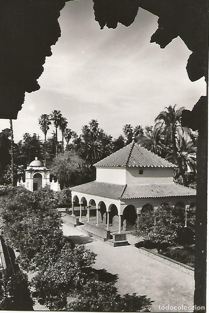 Cartoline: Postal 50701: SEVILLA - Jardines del Alcazar - Varios