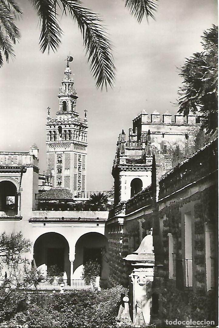 Postais: Postal 50707: SEVILLA - La Giralda - Varios