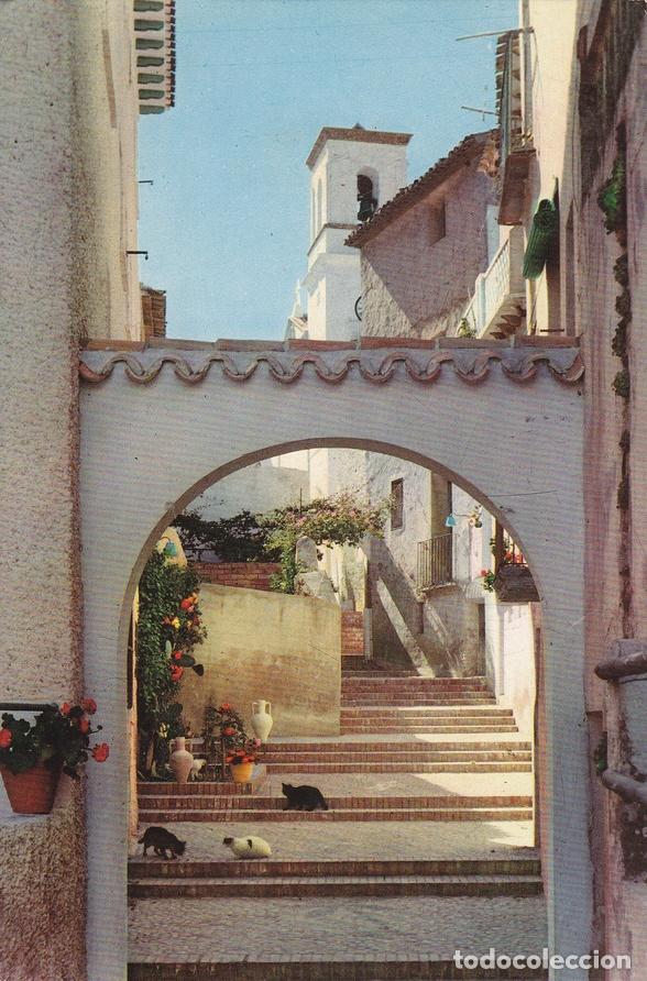 Postales: Postal 60077: (Benidorm Alicante) - Varios