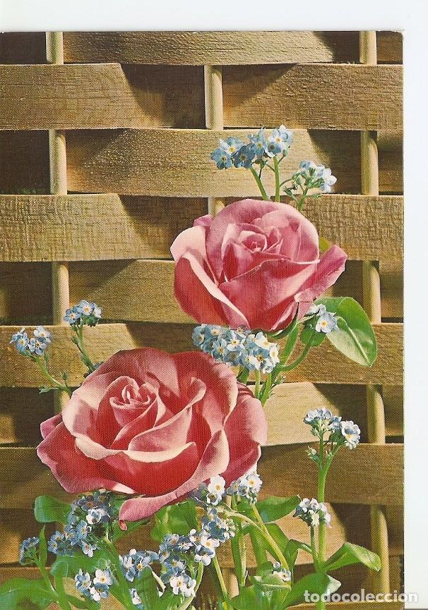 Postais: Postal 041389 : Rosas - Varios