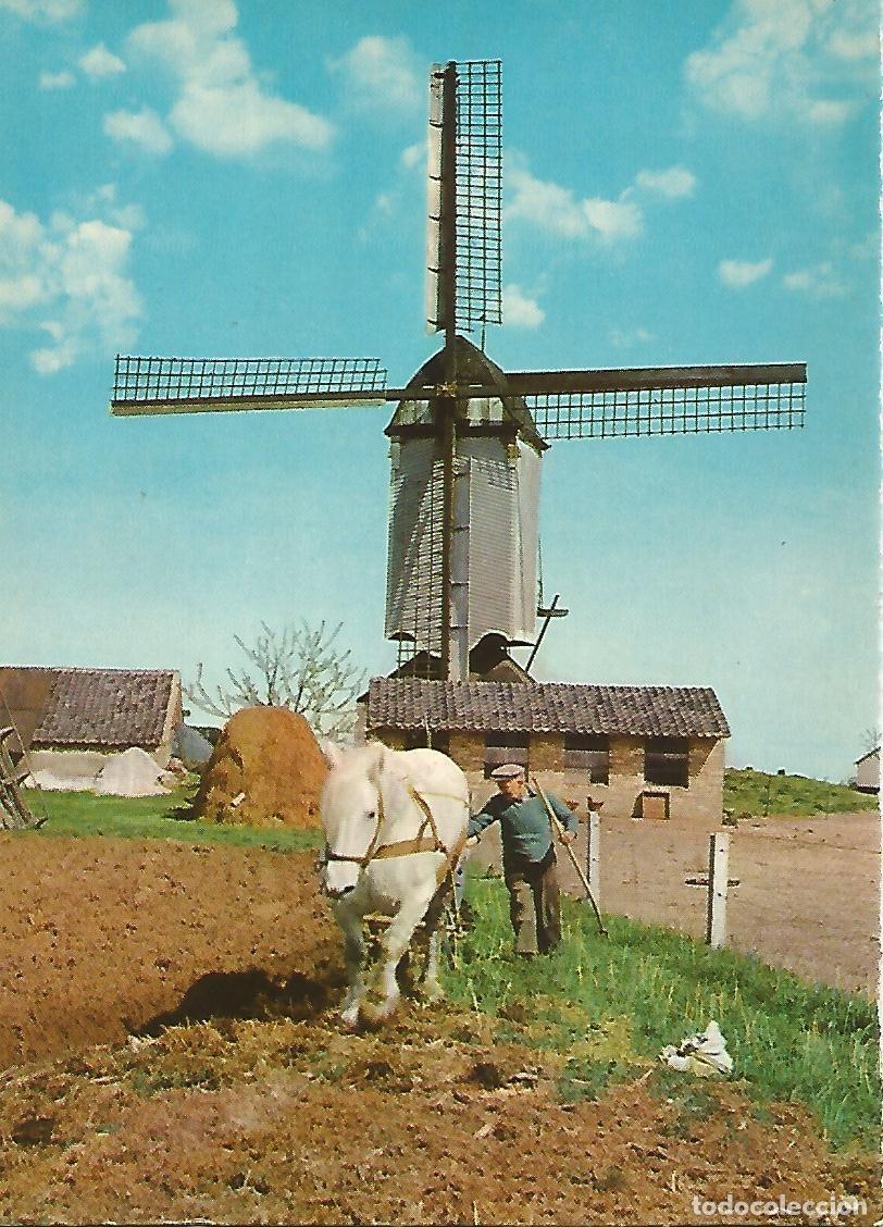 Postais: Postal 51360: ROTTERDAM - Molino - Varios