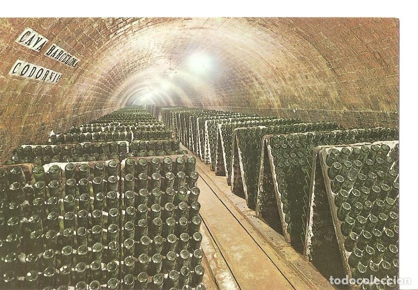 Postales: Postal 043494 : Cavas Codorniu. Botellas en pupitre - Varios