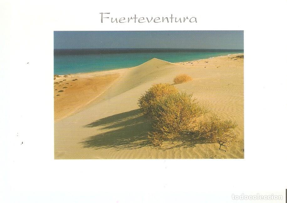 Postais: Postal 044192 : Fuerteventura - Varios