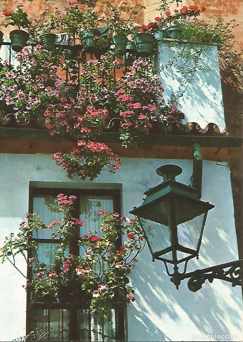 Postcards: Postal 52022: SEVILLA - Barrio de Santa Cruz - Varios