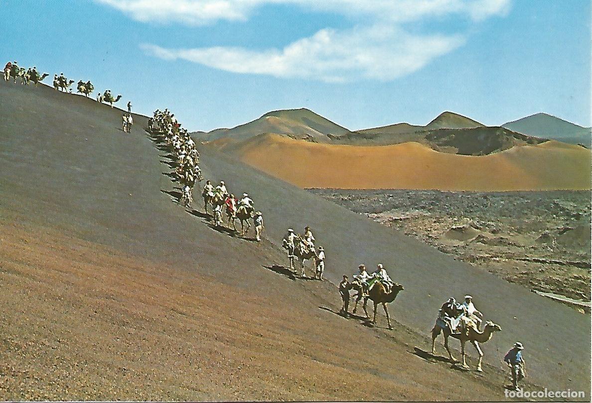 Postais: Postal 52295: LANZAROTE - Caravana de camellos - Varios