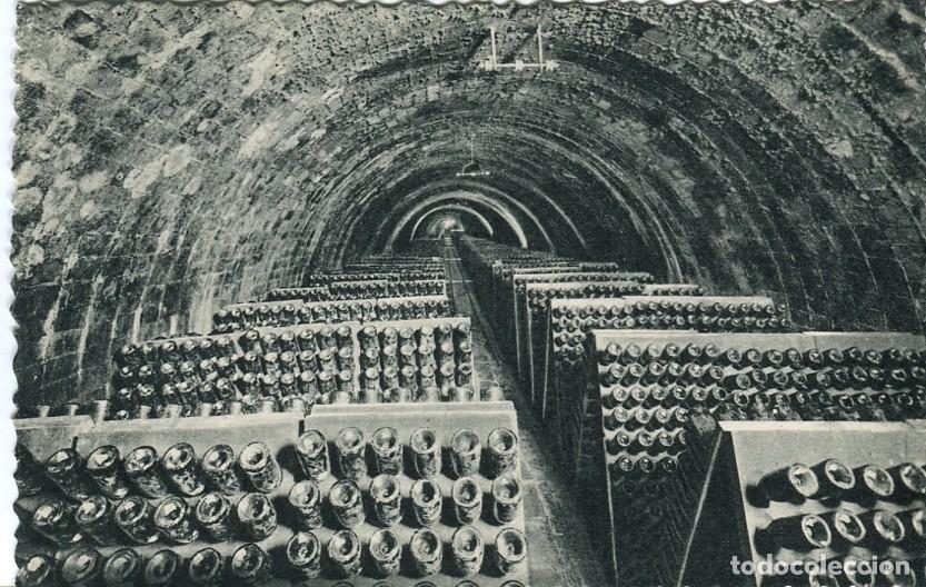 Postales: Postal-Postcard 17287: CASA CODORNIU - Sant Sadurni dAnoia - Botellas en pupitre - Varios
