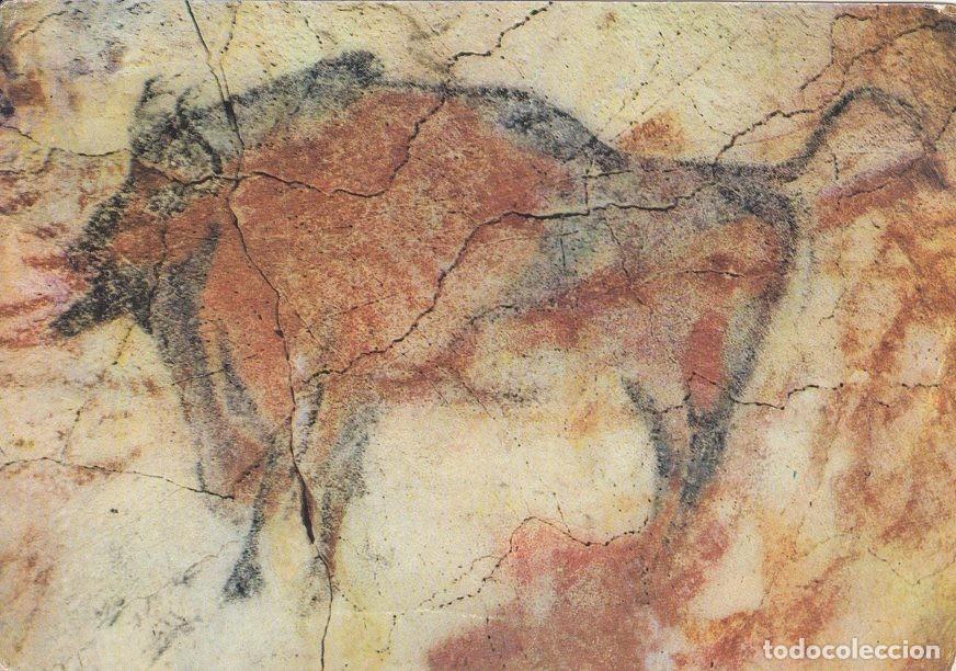 Postkarten: Postal 60484. Cuevas de Altamira. Bisonte. Santillana (Santander) - Varios