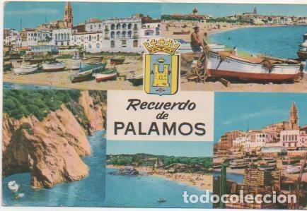 Postcards: Postal E01558: Im&aacute;genes de palam&oacute;s - Varios
