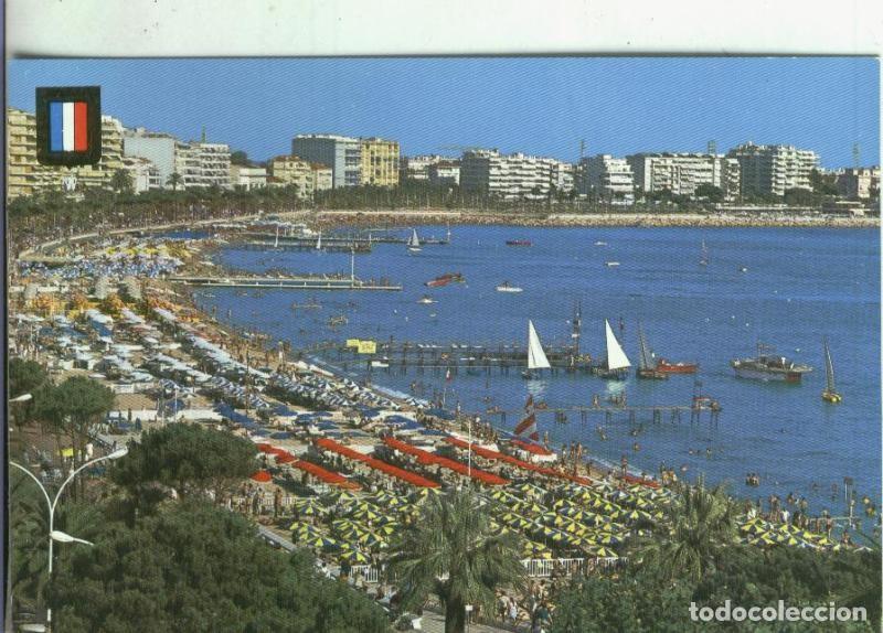 Postkarten: Postal: Cannes - Varios