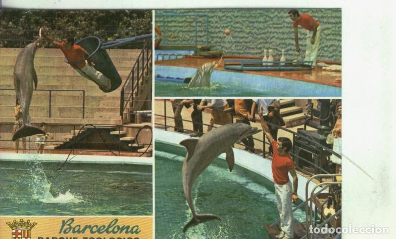 Postcards: Postal: Barcelona: Parque Zoologico - Varios