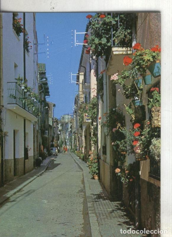 Postales: Postal: Arbucias: Carrer del sorrall - Varios