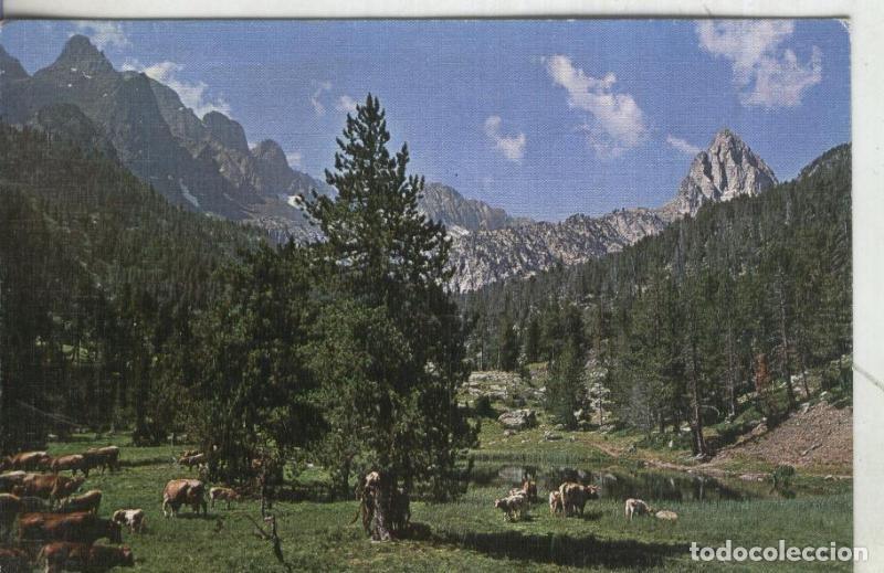 Postales: Postal: Benasque - Varios - Foto 1