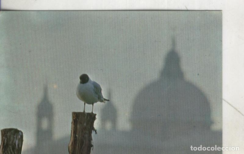 Postkarten: Postal 3967 : Venecia: Visiones al alba - Varios