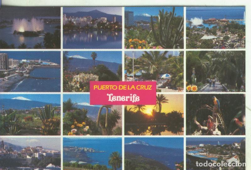 Cartoline: Postal 5187 : Puerto de la Cruz en Tenerife - Varios
