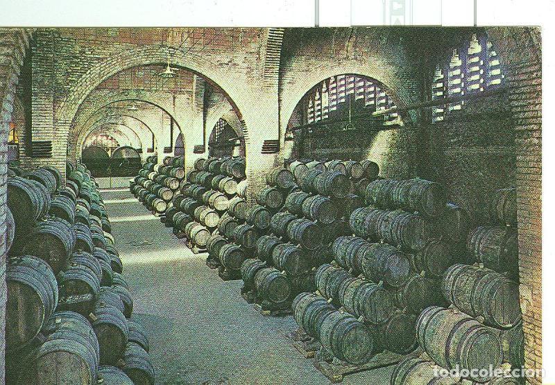 Postales: Postal 6307 : Cavas Codorniu, bodega - Varios
