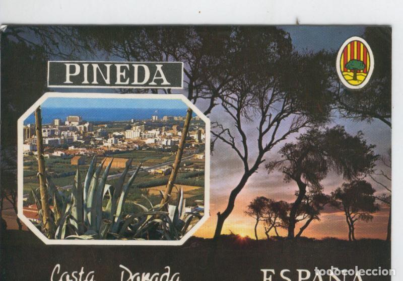 Postkarten: Postal 7039 : Pineda de Mar: vista general - Varios