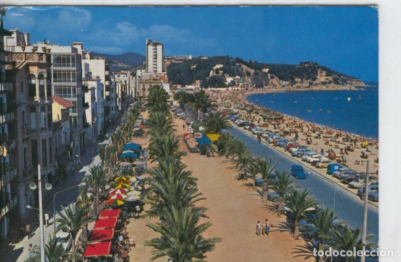 Cartoline: Postal 08014 : Lloret de Mar: vista del paseo - Varios