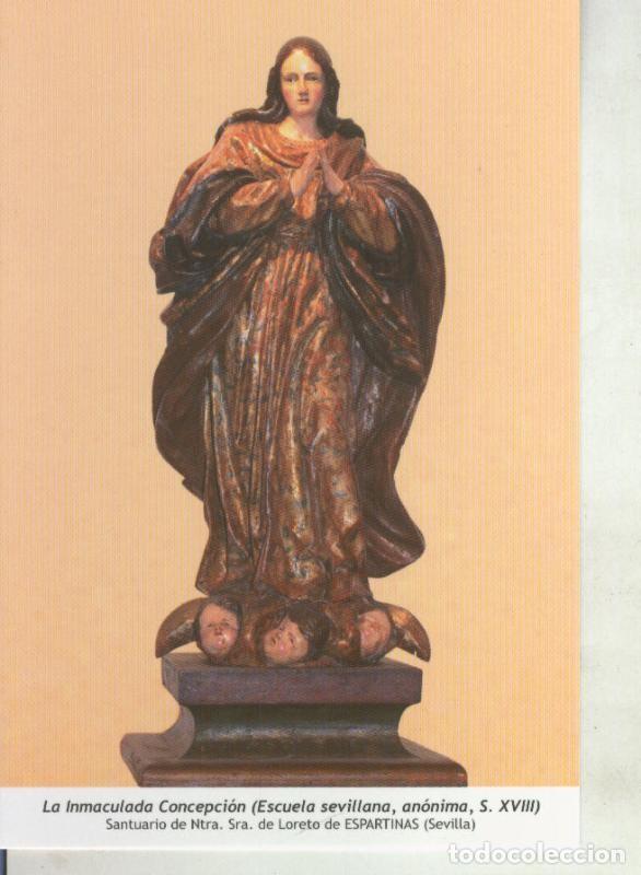 Postales: Postal 011769: Virgen Ntra Sra La Inmaculada Concepcion - Varios