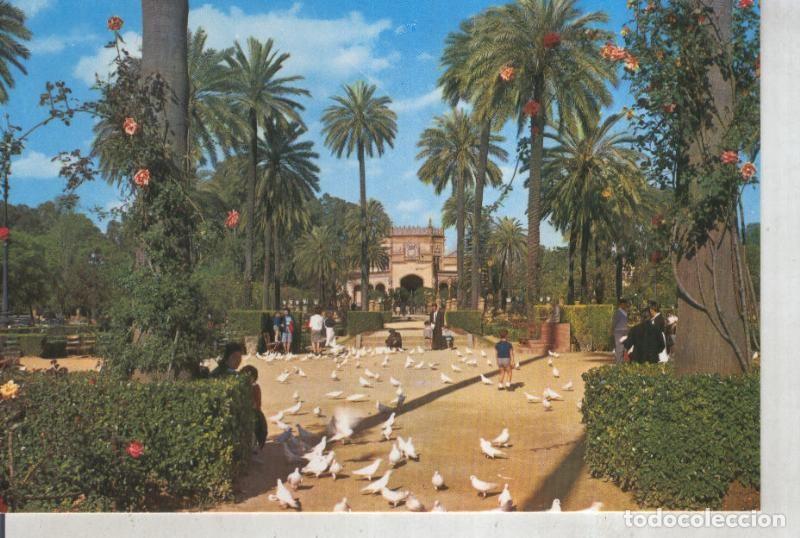 Postcards: Postal 015781: Parque de Maria Luisa de Sevilla - Varios
