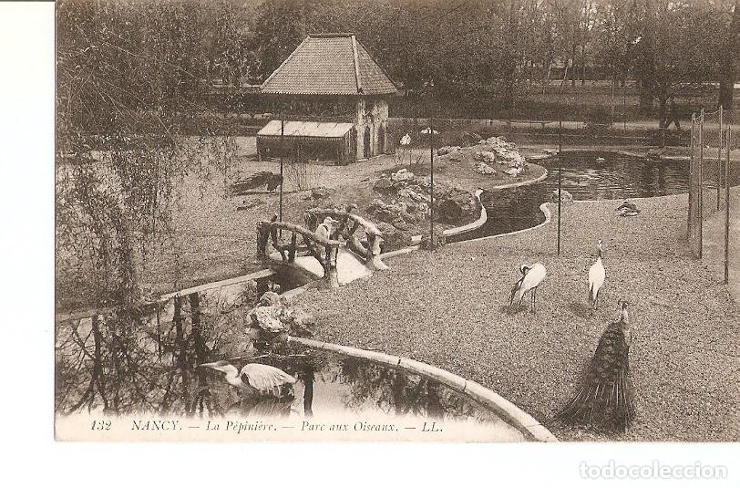 Postcards: Postal 027141 : Nancy - La Pepiniere. Parc aux Oiseaux - Varios