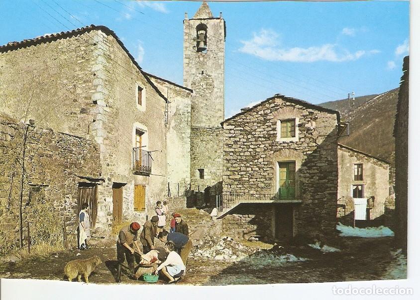 Postcards: Postal 023843 : Setcases (Gerona). Matanza del cerdo Pirineo Catalan - Varios