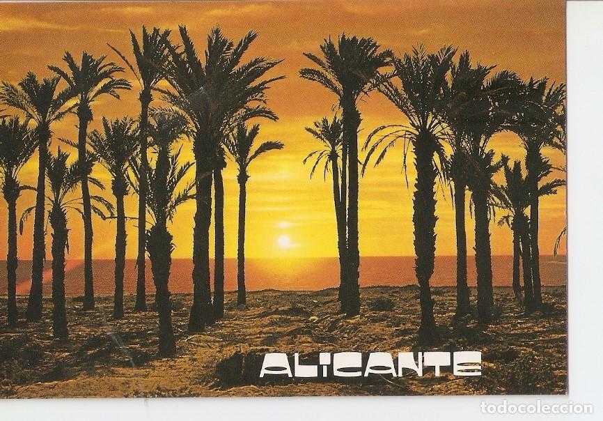 Postkarten: Postal 023933 : Amanecer en el palmeral - Alicante - Varios