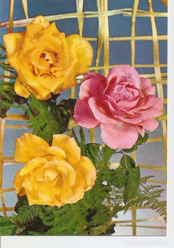 Postales: Postal 024471 : Rosas - Varios - Foto 1