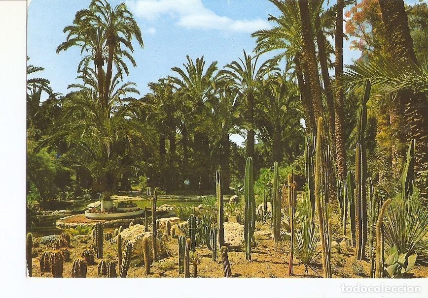 Postais: Postal 024985 : Huerto del Cura. Rocalla Zona de Cereus. Elche - Varios