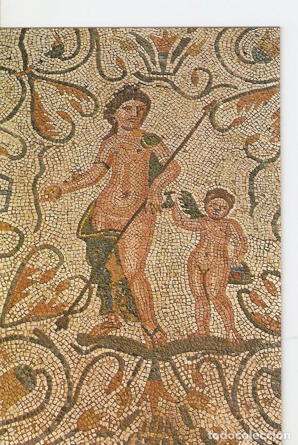 Cartes Postales: Postal 025057 : Mosaico de Venus y Eros. Casa del Anfiteatro. Merida (Badajoz) - Varios