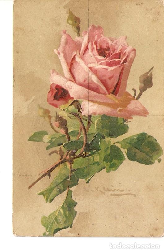 Postales: Postal 025307 : Rosa - Varios - Foto 1