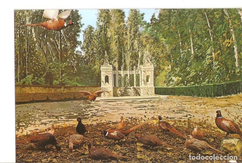 Postcards: Postal 026741 : Palacio Real de Riofrio (Segovia(. Museo de Caza. Faisanes - Varios