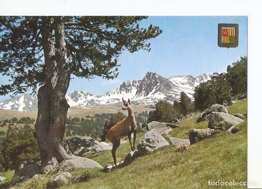 Cartoline: Postal 030020 : Valls dAndorra Vall dEnvalira - Varios