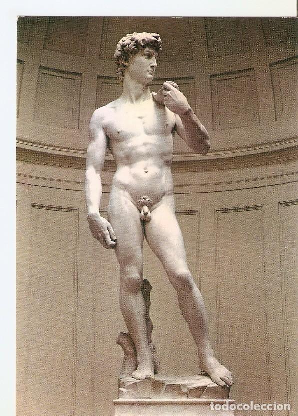 Postales: Postal 033696 : Firenze. David del Michelangelo - Varios - Foto 1