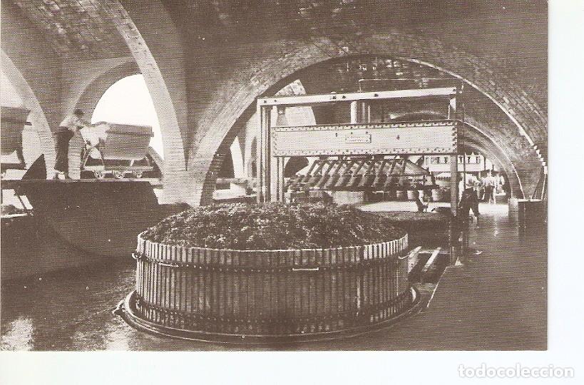 Postales: Postal 035801 : Casa Codorniu - San sadurni de Noya (Espa&ntilde;a). Una de las prensas - Varios