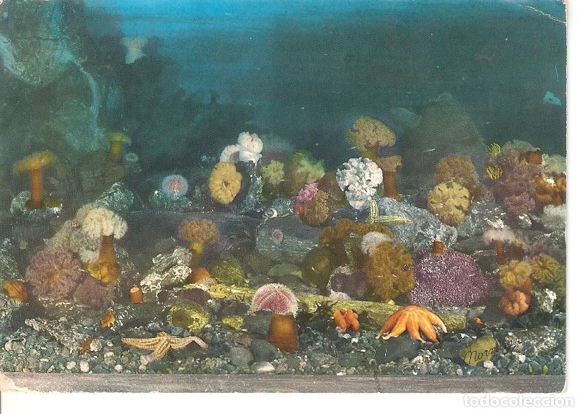 Postkarten: Postal 037428 : The Aquarium in Bergen (Norway) - Varios