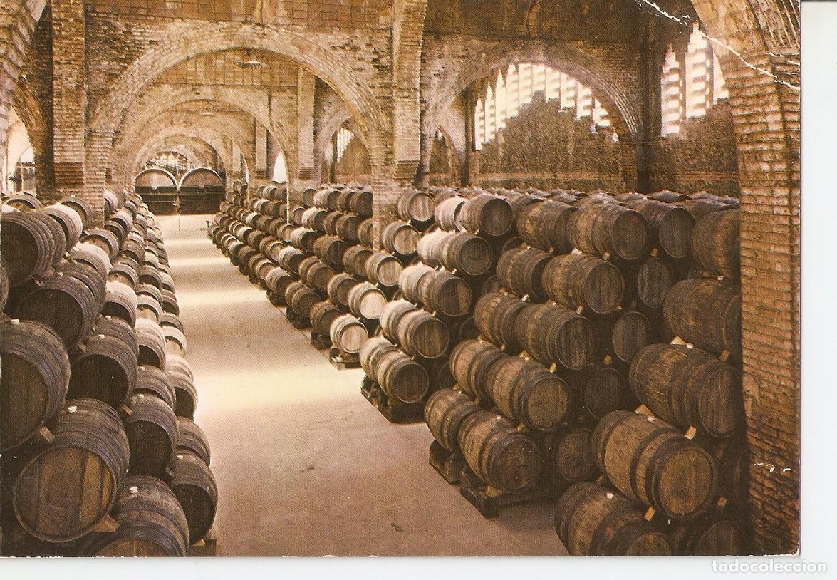 Postales: Postal 038324 : Cavas Codorniu una bodega - Varios