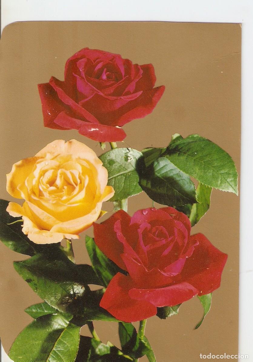 Postales: Postal 038124 : Rosas - Varios - Foto 1