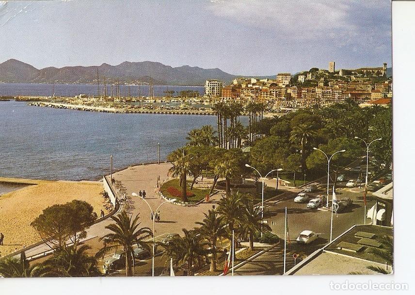 Postkarten: Postal 039750 : Cannes. Une partie des Jardins le Suquet le Port - Varios