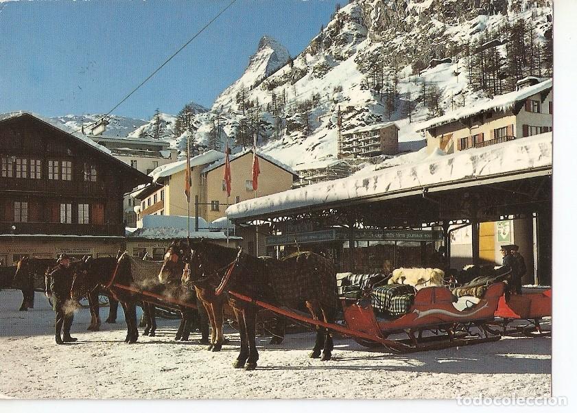 Postkarten: Postal 039798 : Zermatt Pferferschlitten am Bahnof Matterhorn - Varios