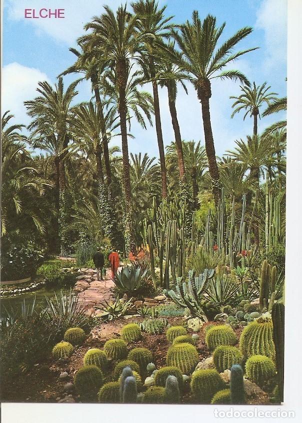 Postais: Postal 040061 : Elche. Huerto del Cura. Rocalla - Varios