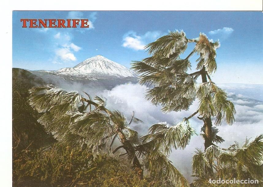 Postais: Postal 040750 : Tenerife. El Teide - Varios