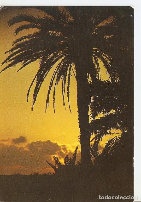 Postcards: Postal 040363 : Formentera. Puesta de Sol en Sa Segui - Varios