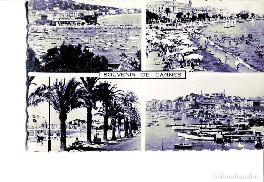 Cartes Postales: Postal 16367: CANNES - Souvenir COTE AZUR - Varios