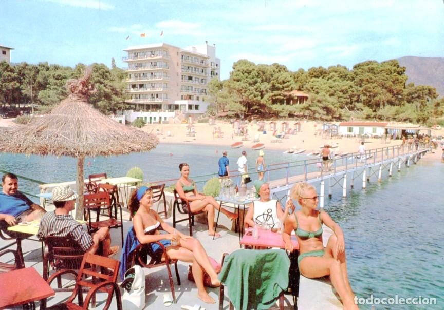 Cartoline: Postal 016726: MALLORCA - Vista de Playa de Camp Mar - Varios