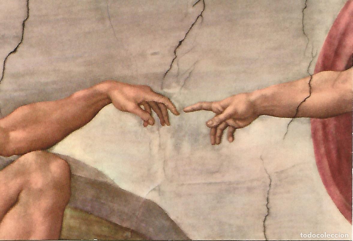Postais: Postal 50163: VATICANO - Capilla Sixtina - Creacion hombre