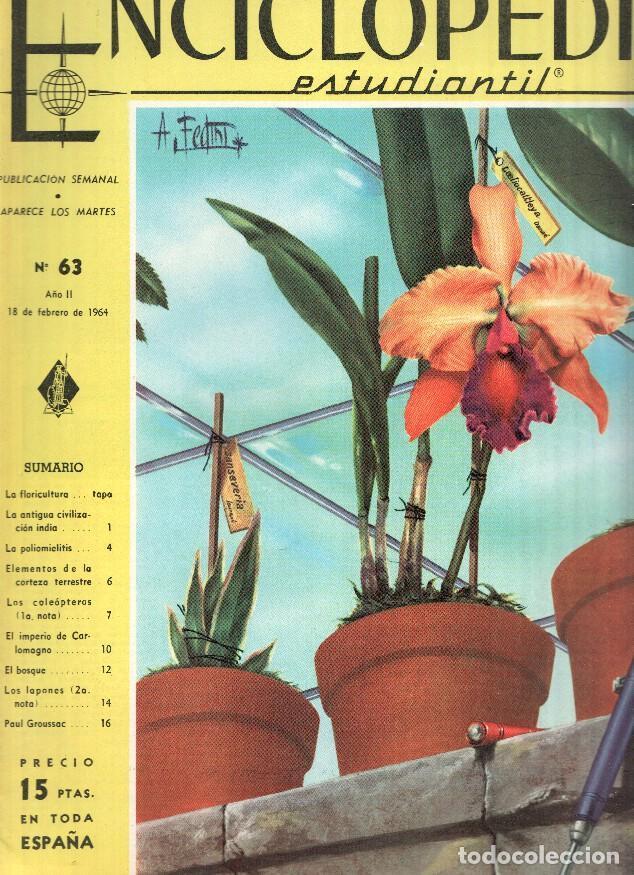 Cartoline: Enciclopedia Estudiantil numero 063 (1964): Paul Groussac, Los lapones, El imperio de Carlomagno - v