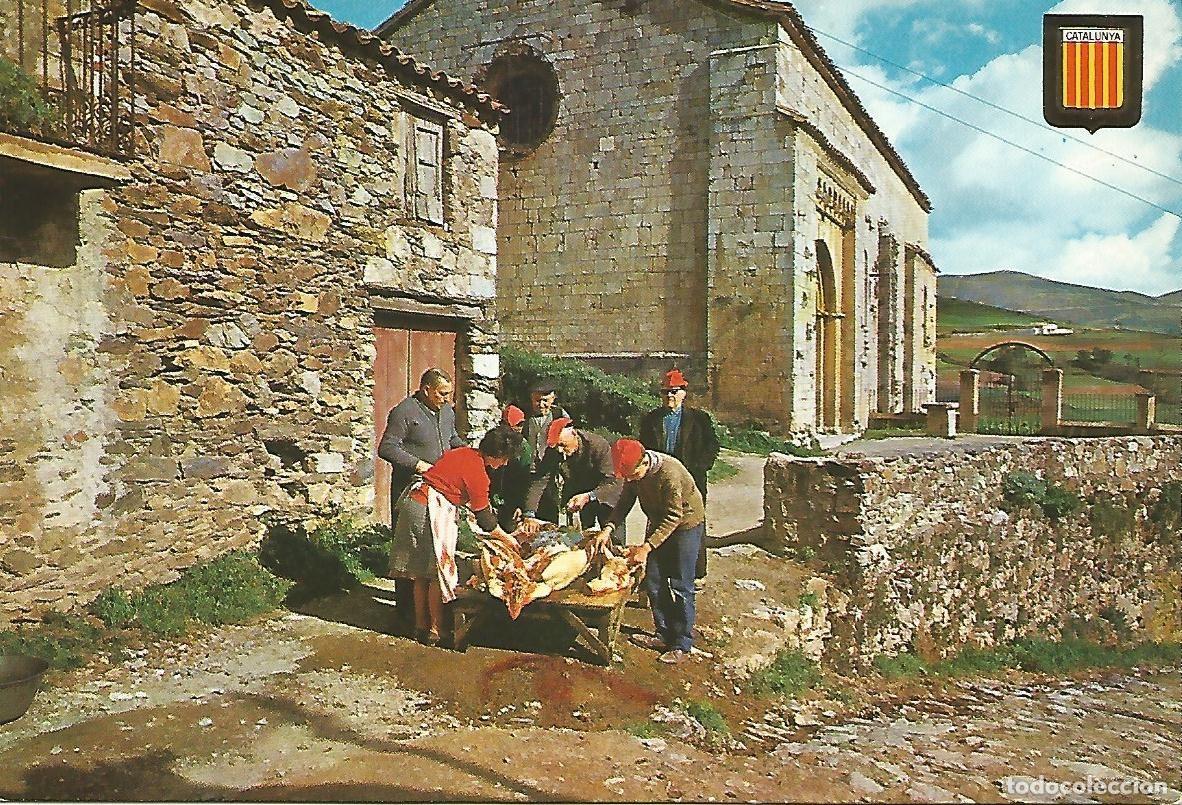 Cartoline: Postal 50008: CATALU&Ntilde;A - Matanza del cerdo en Mollo